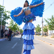 DSC05881