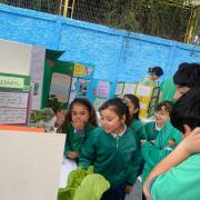 dia-de-la-ciencia-00015