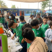 dia-de-la-ciencia-00039