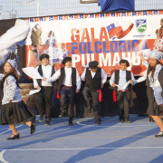 Pulmahue-06323