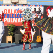 Gala-Folclorica-25-DSC04848