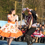 Gala-Folclorica-25-DSC04877