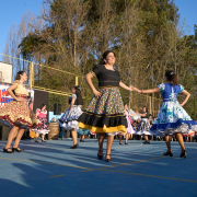 Gala-Folclorica-25-DSC04948