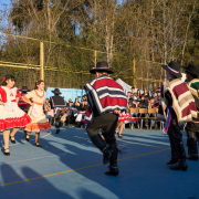 Gala-Folclorica-25-DSC04966