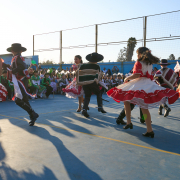 Gala-Folclorica-25-DSC04972