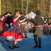 Gala-Folclorica-25-DSC05006