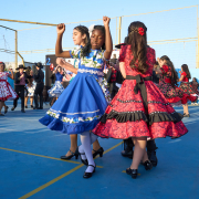 Gala-Folclorica-25-DSC05016