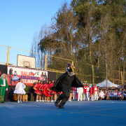 Gala-Folclorica-25-DSC05047