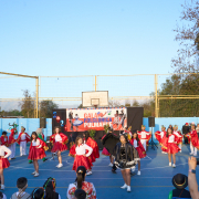 Gala-Folclorica-25-DSC05068