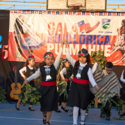Gala-Folclorica-25-DSC05156