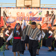 Gala-Folclorica-25-DSC05163