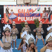 Gala-Folclorica-25-DSC05226