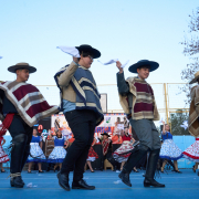 Gala-Folclorica-25-DSC05253