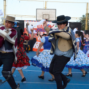 Gala-Folclorica-25-DSC05270