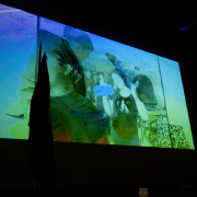 Licenciatura-2025-00025