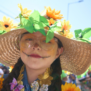 DSC05705