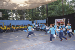Revista de Gimnasia 2024