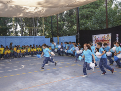 Revista de Gimnasia 2024
