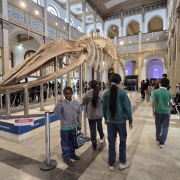 visita-museo-00007