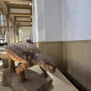 visita-museo-00008