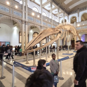 visita-museo-00015