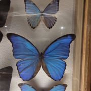 visita-museo-00016