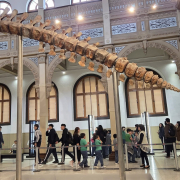visita-museo-00017