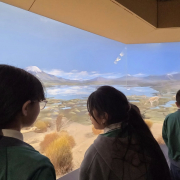 visita-museo-00023