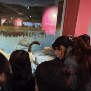 visita-museo-00027