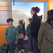 visita-museo-00033