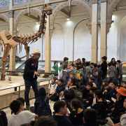 visita-museo-00038