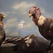 visita-museo-00055