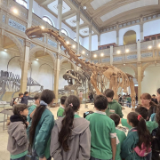 visita-museo-00056