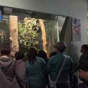 visita-museo-00057
