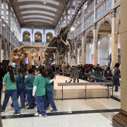 visita-museo-00061