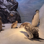 visita-museo-00065
