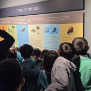 visita-museo-00066
