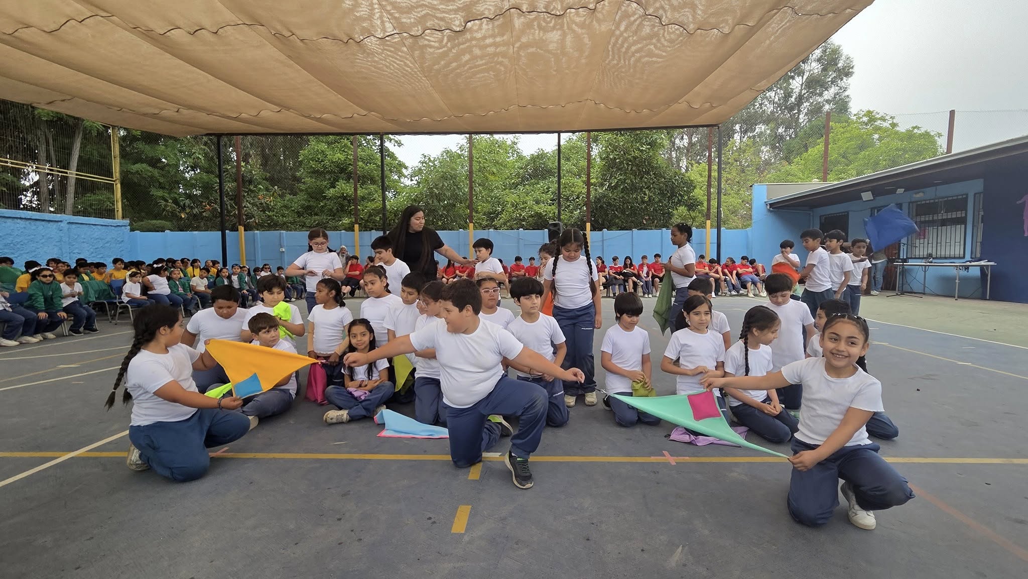 Revista de Gimnasia 2025