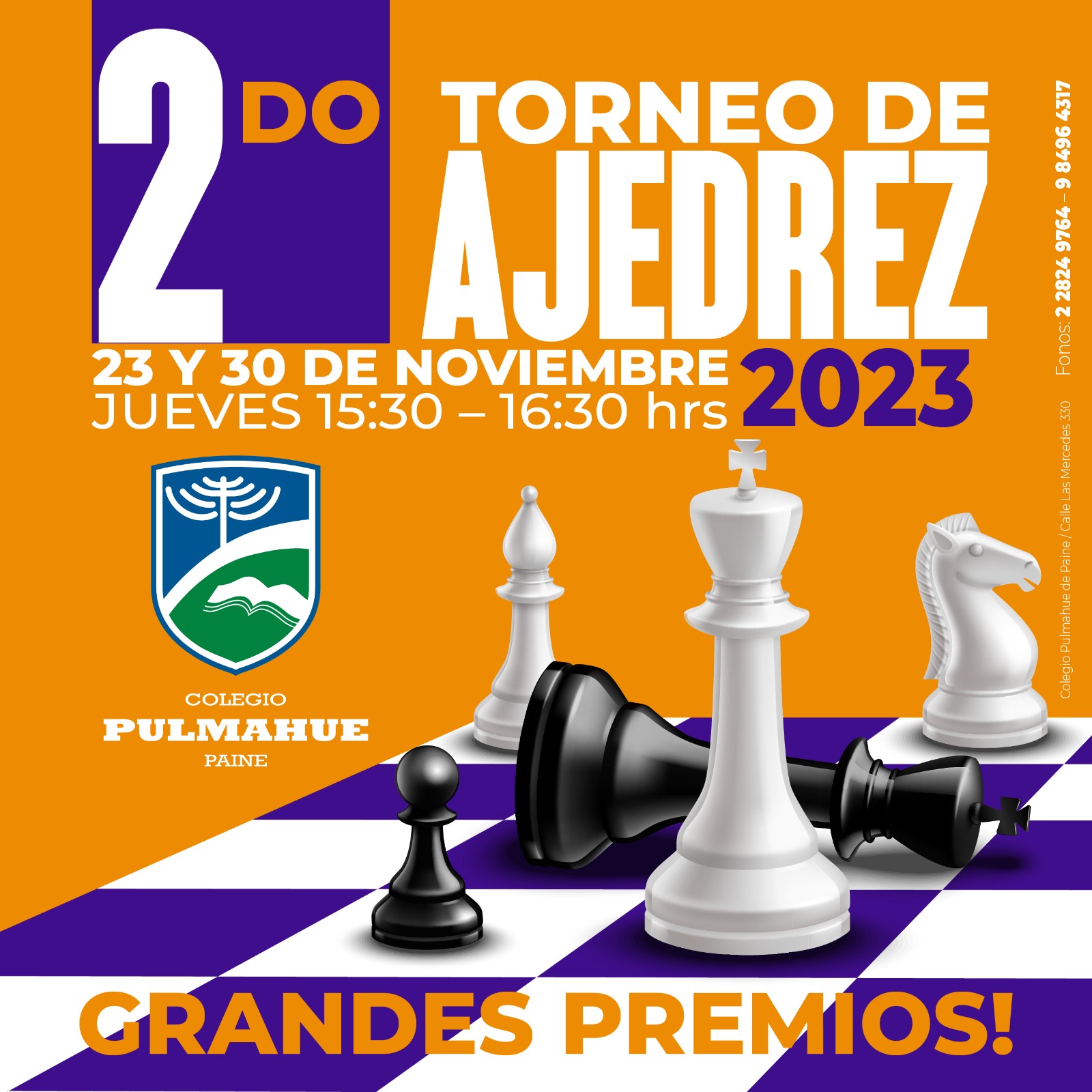 2do Torneo de Ajedrez Pulmahue